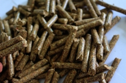 生物質(zhì)顆粒